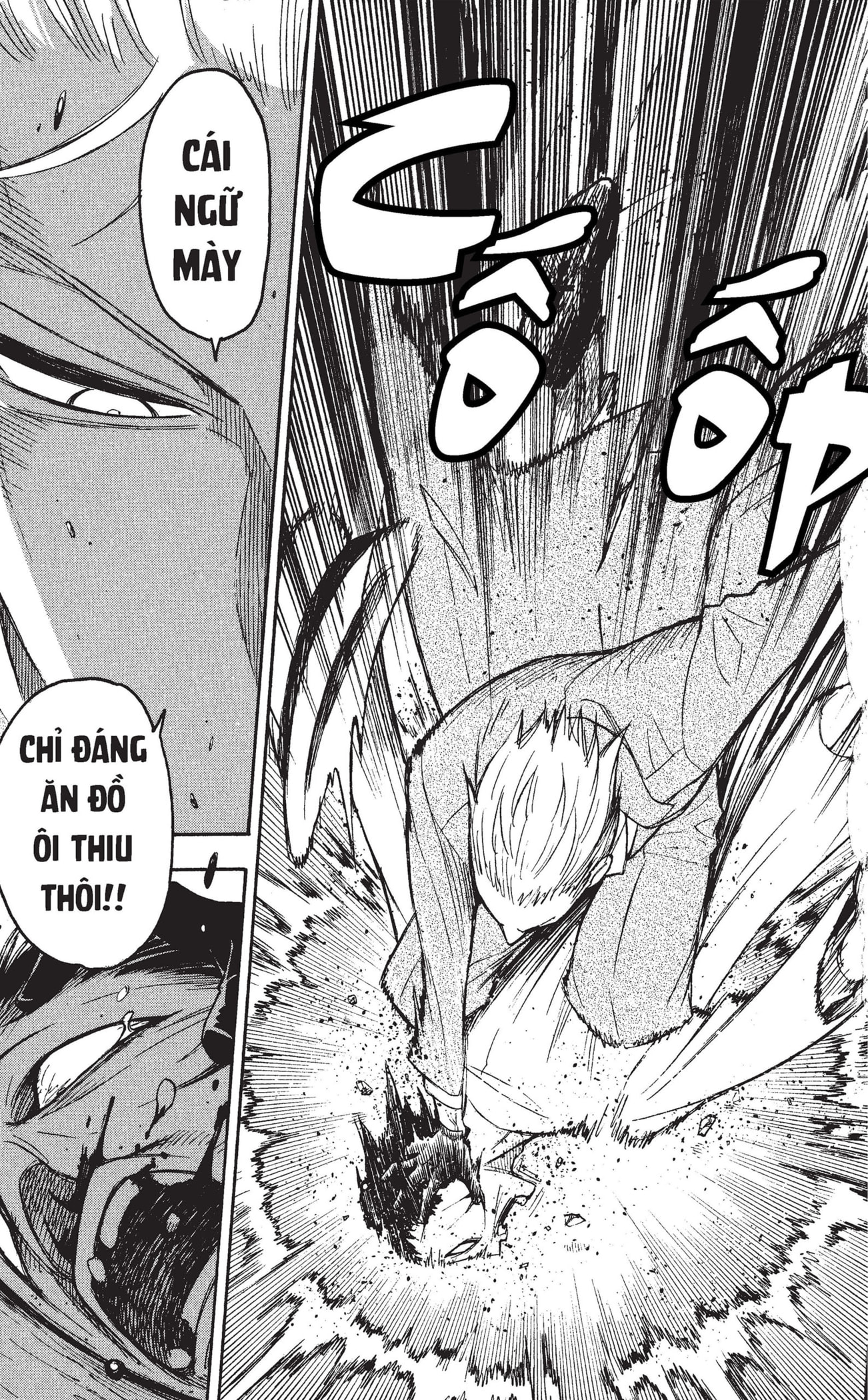 Read SPY x FAMILY VI Manga Online