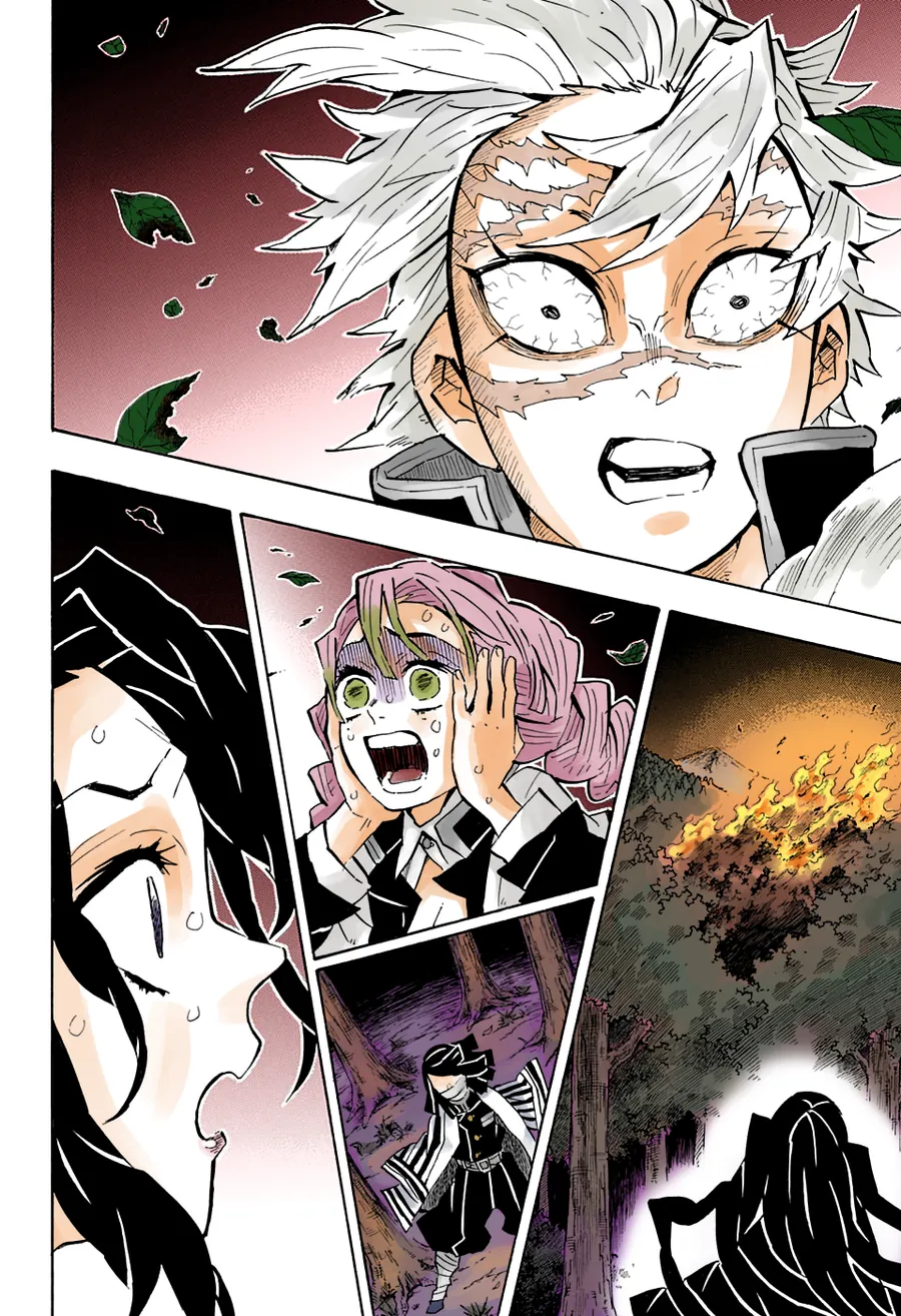 Read Thanh Gươm Diệt Quỷ Truyện Màu VI Manga Online