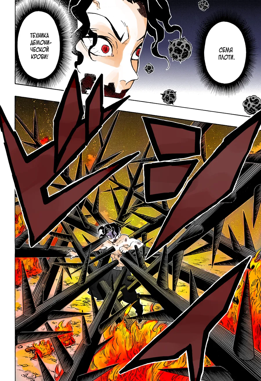 Read Thanh Gươm Diệt Quỷ Truyện Màu VI Manga Online