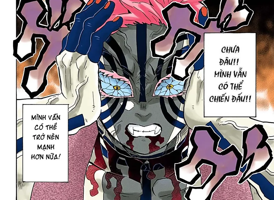 Read Thanh Gươm Diệt Quỷ Truyện Màu VI Manga Online