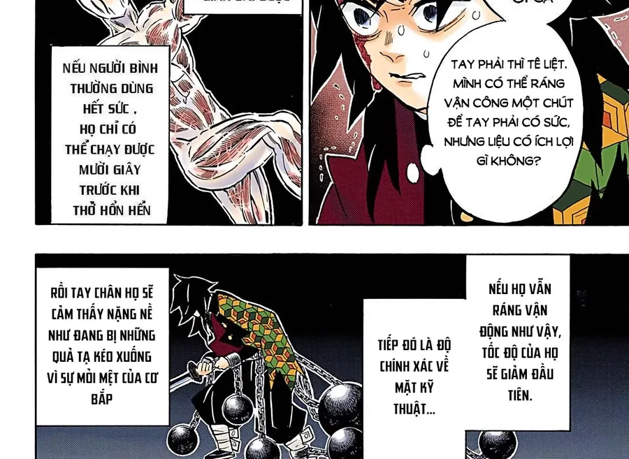 Read Thanh Gươm Diệt Quỷ Truyện Màu VI Manga Online