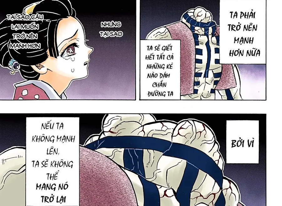 Read Thanh Gươm Diệt Quỷ Truyện Màu VI Manga Online