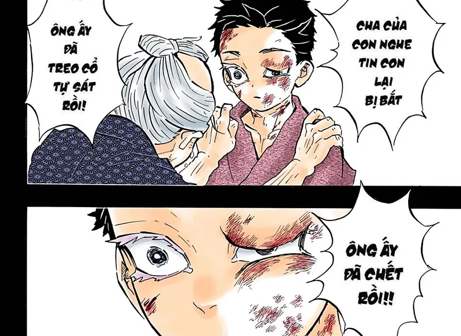 Read Thanh Gươm Diệt Quỷ Truyện Màu VI Manga Online