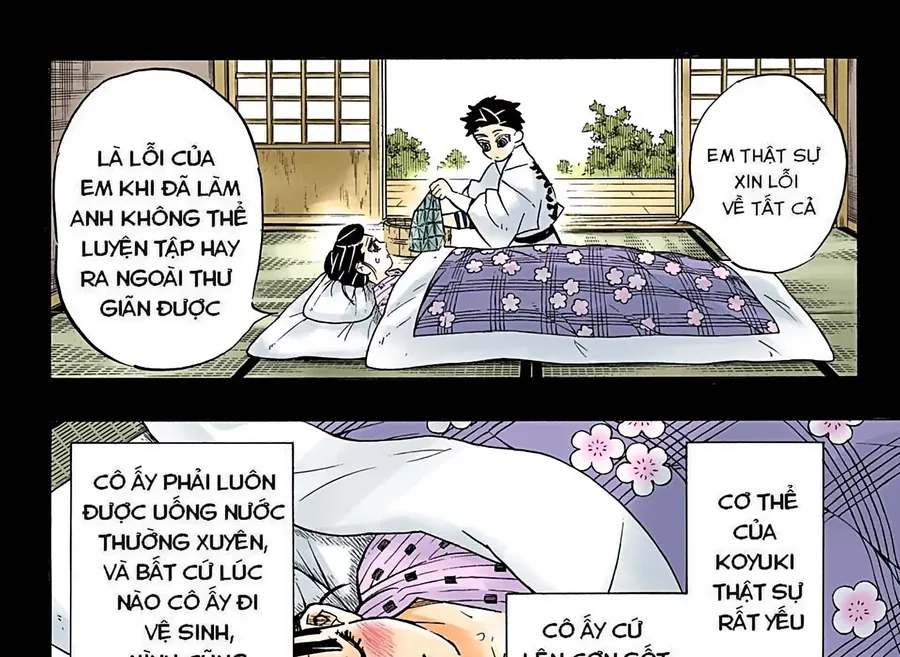 Read Thanh Gươm Diệt Quỷ Truyện Màu VI Manga Online