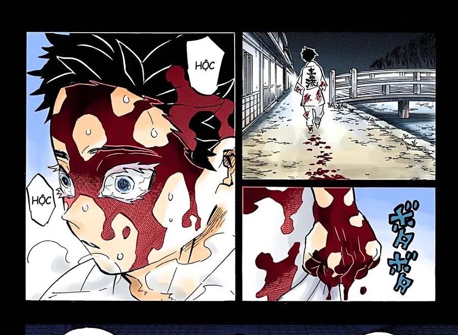 Read Thanh Gươm Diệt Quỷ Truyện Màu VI Manga Online