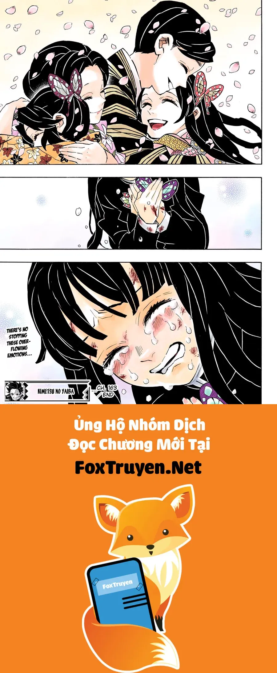 Read Thanh Gươm Diệt Quỷ Truyện Màu VI Manga Online